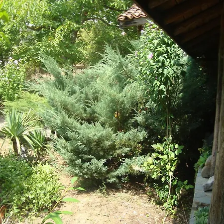 Pensión House Pangovski *